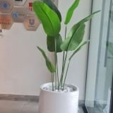 Artificial Bird of Paradise Plant in White Ceramic Pot