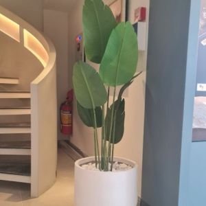 Artificial Travelers Palm Plant in Off-White Cylinder Pot