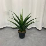 Artificial Agave Succulent Accent Plant in Pot