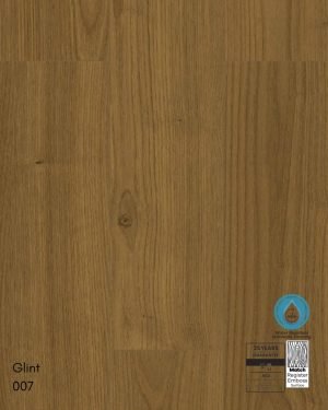 Glint – 007
