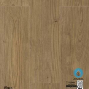 Blaze - 008